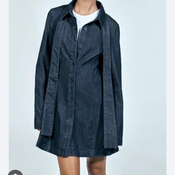 Zara Cotton Denim Dress - Picture 12 of 14